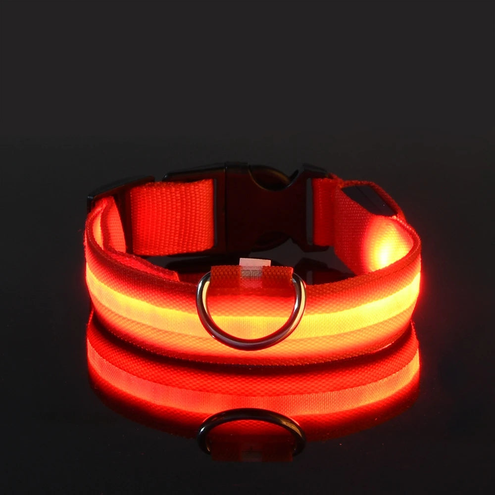 Collar LED Luminoso para Perros Recargable por USB | 5 Tallas y 6 Colores