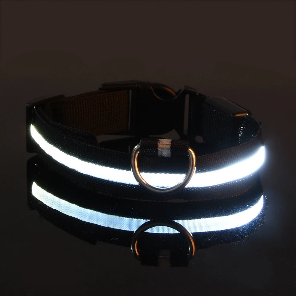 Collar LED Luminoso para Perros Recargable por USB | 5 Tallas y 6 Colores