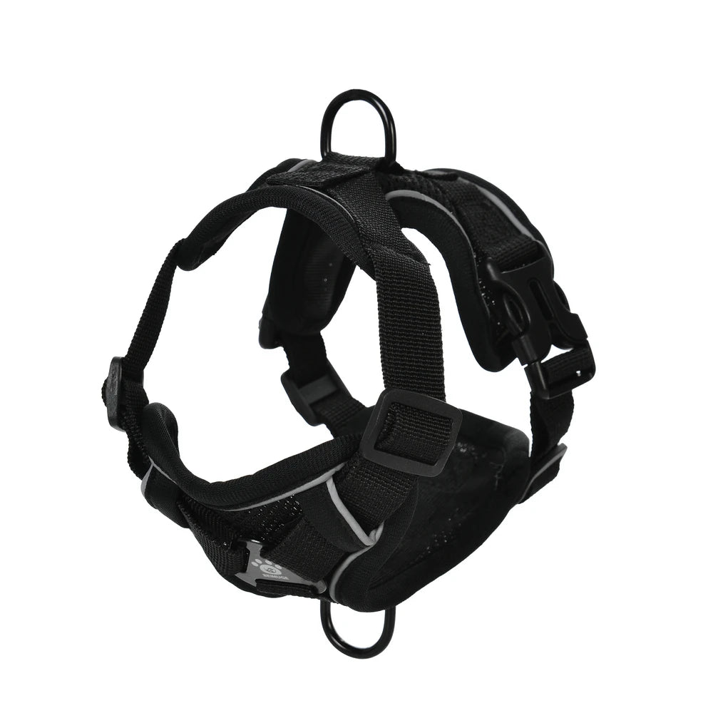 Set Arnés + Correa para Perro | Ajustable y Resistente
