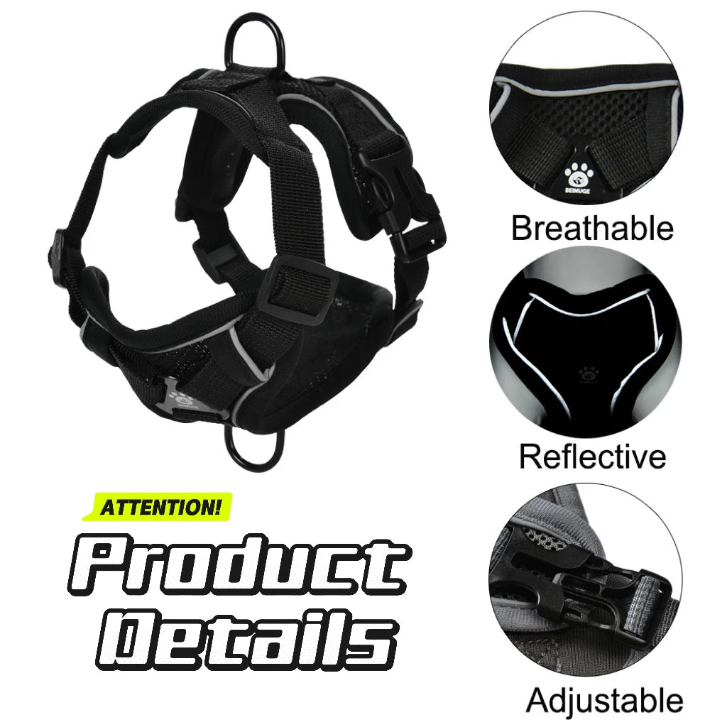 Set Arnés + Correa para Perro | Ajustable y Resistente