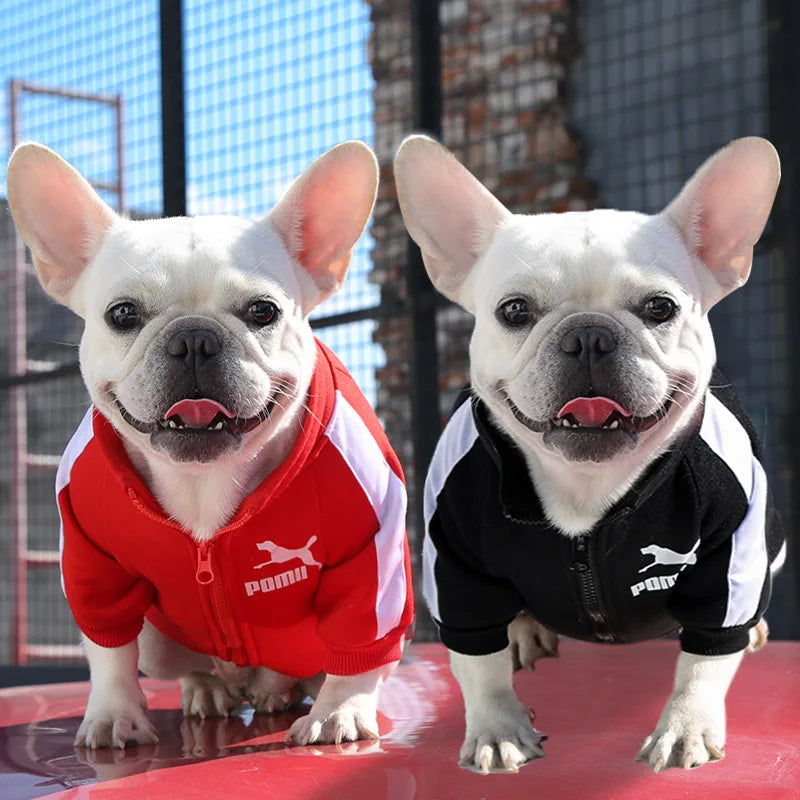 Chaqueta Baseball para Perro | Impermeable y Cómoda
