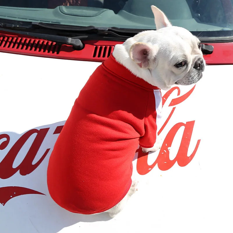 Chaqueta Baseball para Perro | Impermeable y Cómoda