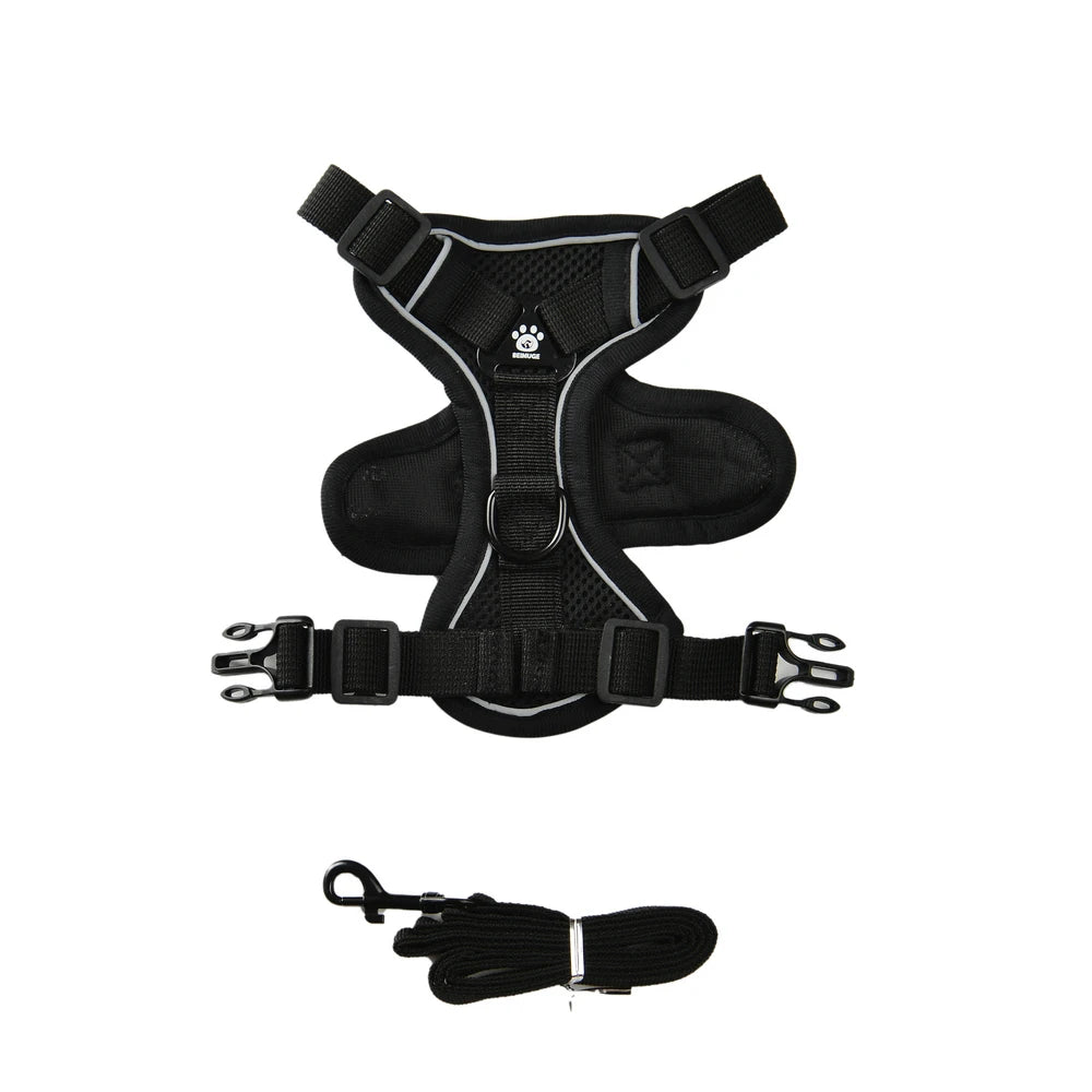 Set Arnés + Correa para Perro | Ajustable y Resistente