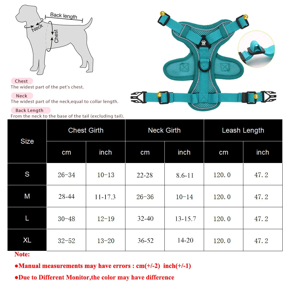 Set Arnés + Correa para Perro | Ajustable y Resistente