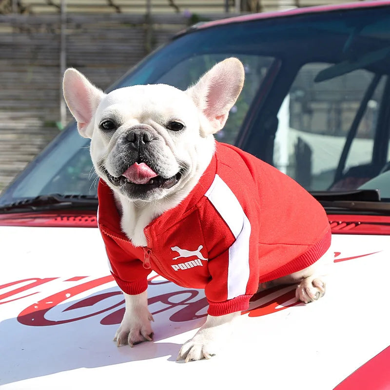 Chaqueta Baseball para Perro | Impermeable y Cómoda