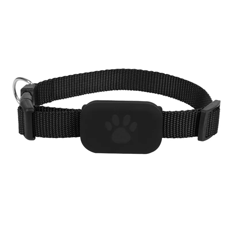 Localizador GPS para Perro y Gato | Tiempo Real | Compatible Apple Find