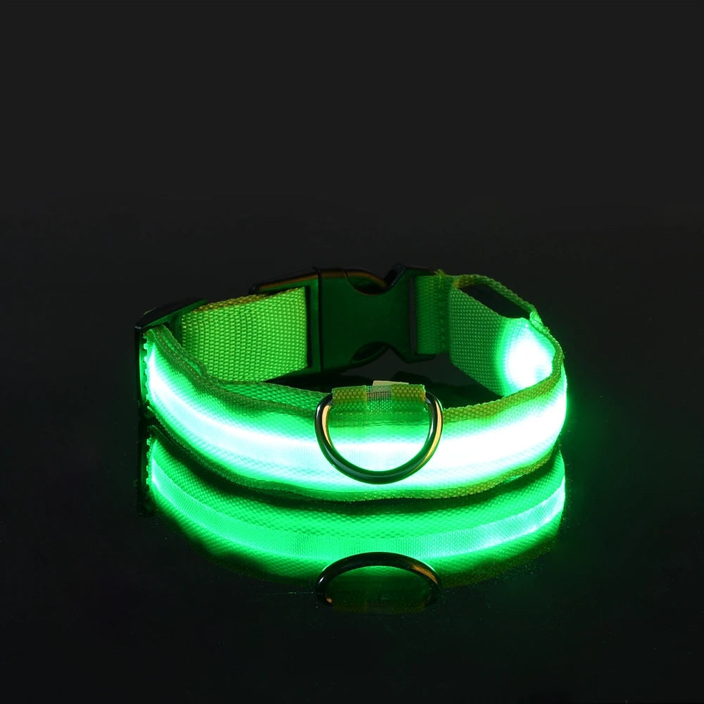 Collar LED Luminoso para Perros Recargable por USB | 5 Tallas y 6 Colores