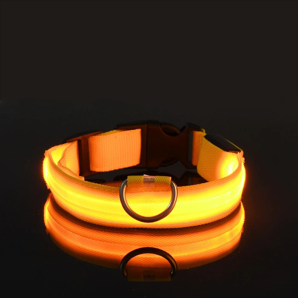 Collar LED Luminoso para Perros Recargable por USB | 5 Tallas y 6 Colores