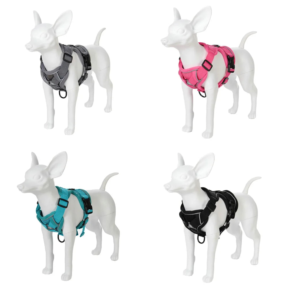 Set Arnés + Correa para Perro | Ajustable y Resistente