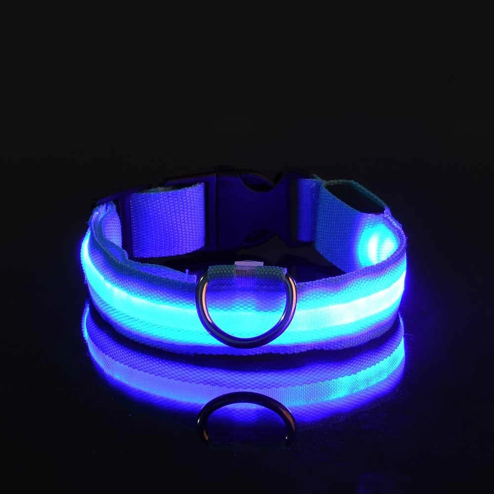 Collar LED Luminoso para Perros Recargable por USB | 5 Tallas y 6 Colores