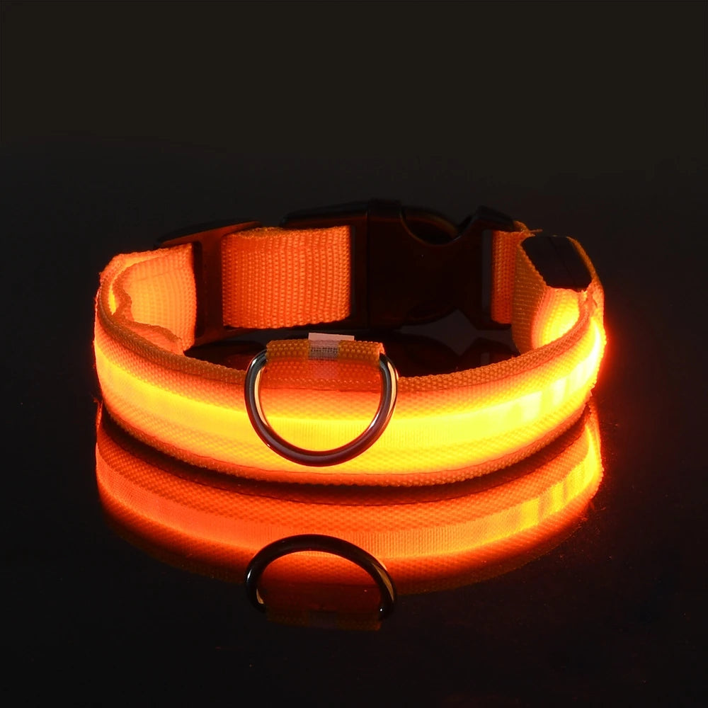 Collar LED Luminoso para Perros Recargable por USB | 5 Tallas y 6 Colores