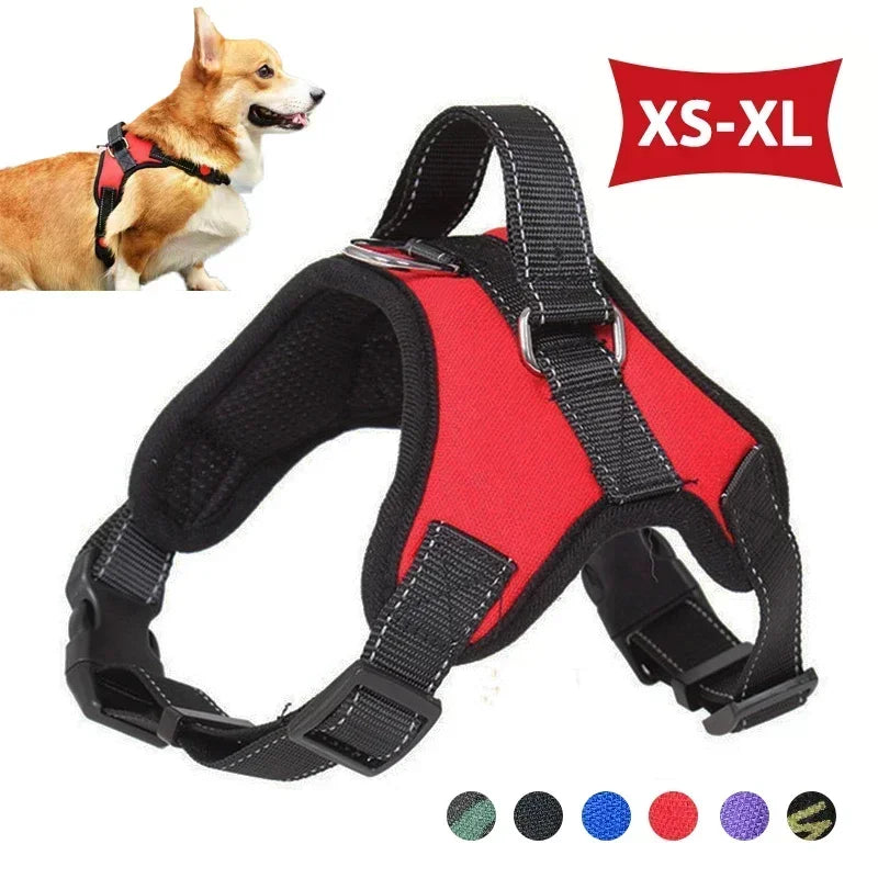 Arnés Tipo Sillín para Perro | Cómodo y Ajustable