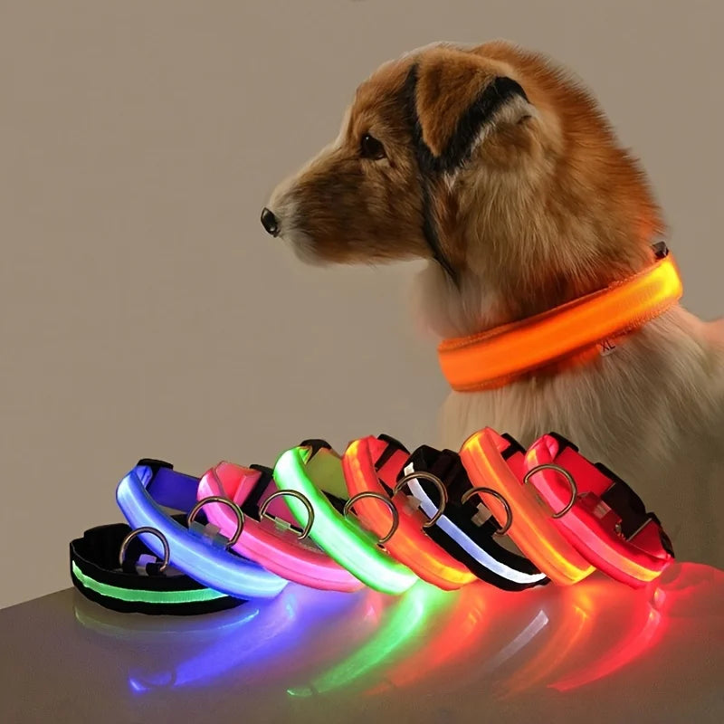 Collar LED Luminoso para Perros – Seguridad Nocturna