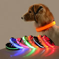 Collar LED Luminoso para Perros Recargable por USB | 5 Tallas y 6 Colores