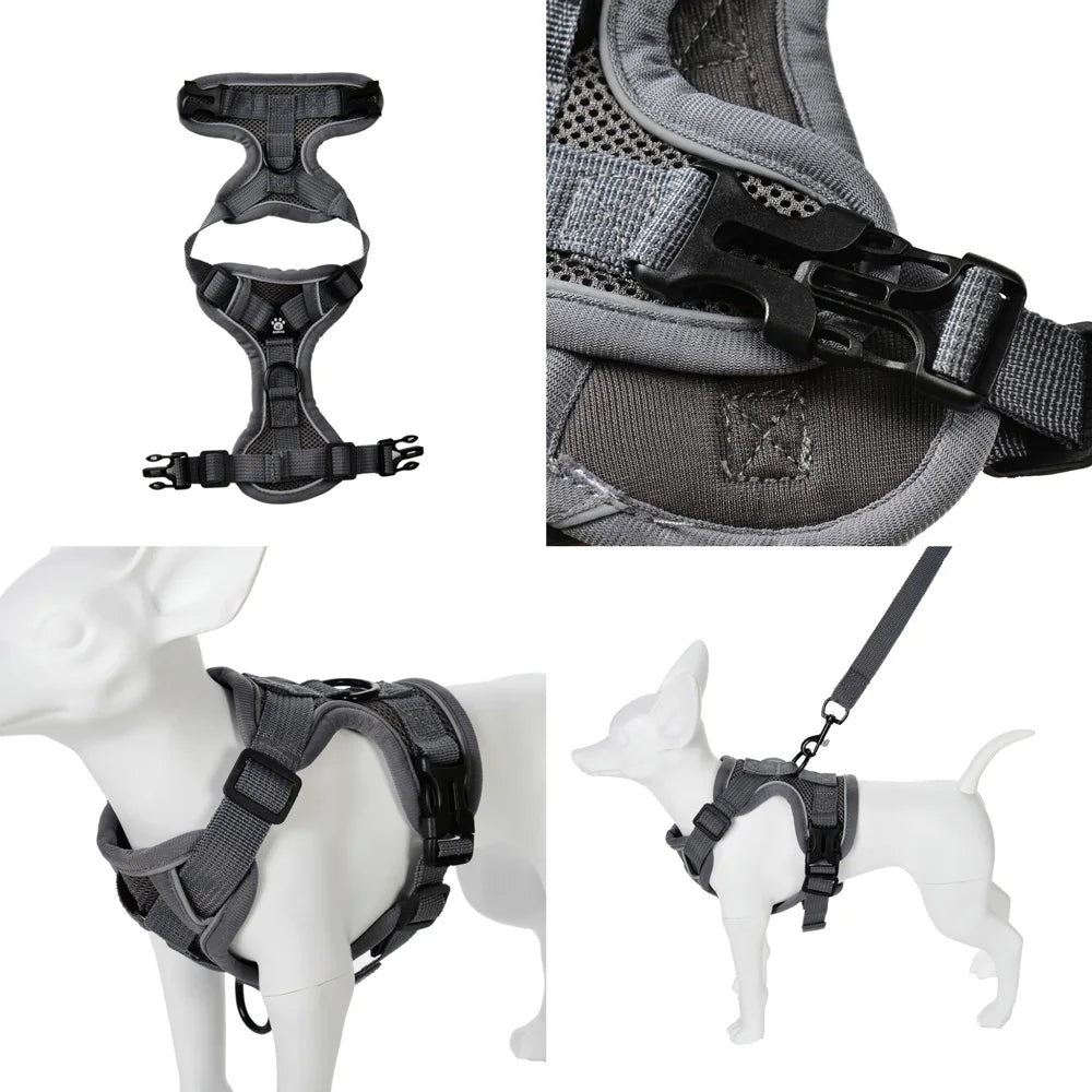 Set Arnés + Correa para Perro | Ajustable y Resistente