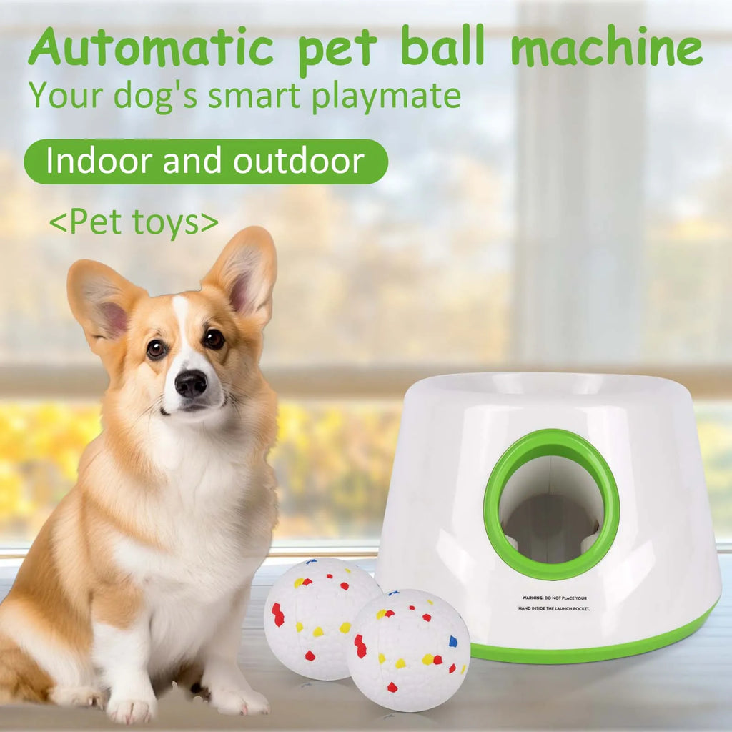 Lanzador Automático de Pelotas para Perros Recargable USB
