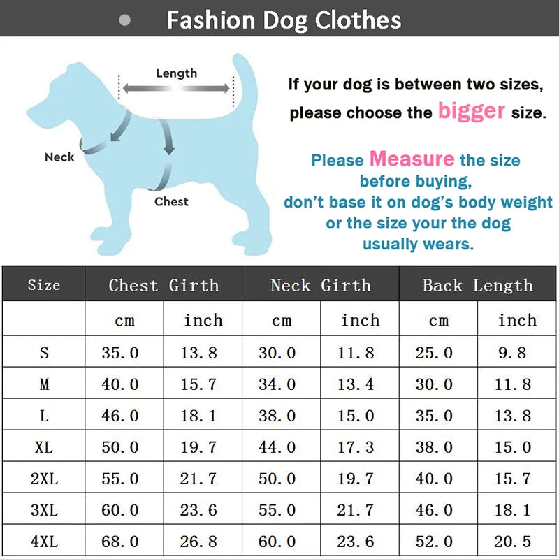 Chaqueta Baseball para Perro | Impermeable y Cómoda