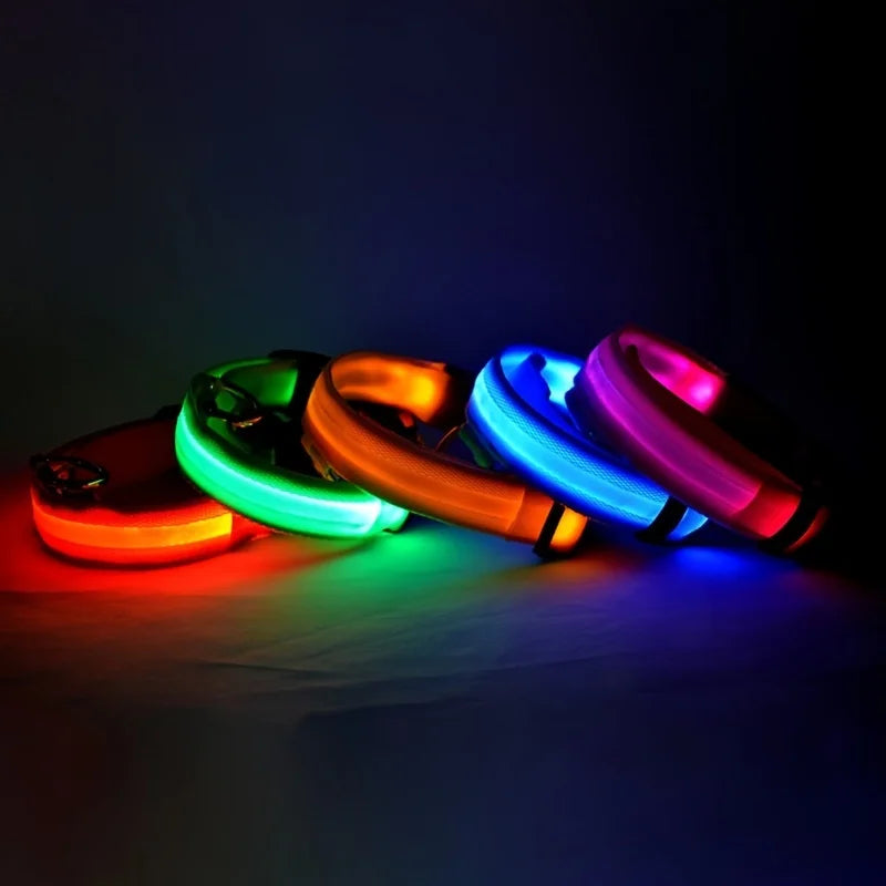 Collar LED Luminoso para Perros – Seguridad Nocturna