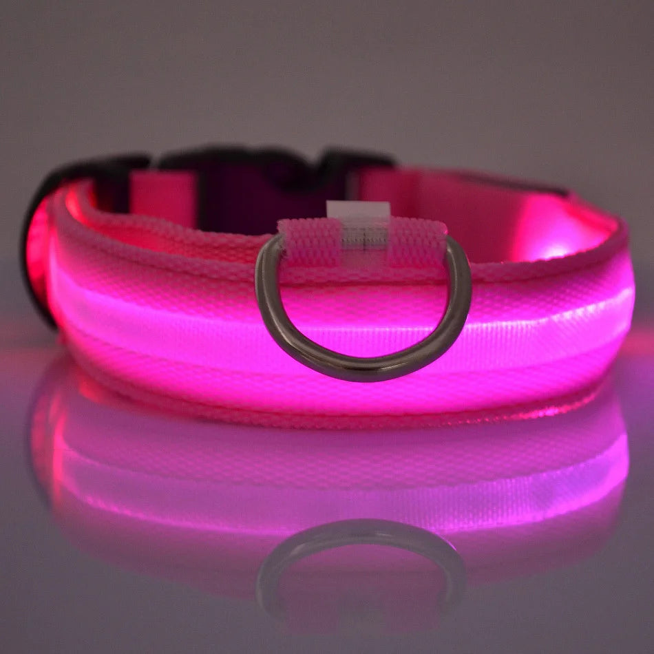 Collar LED Luminoso para Perros – Seguridad Nocturna