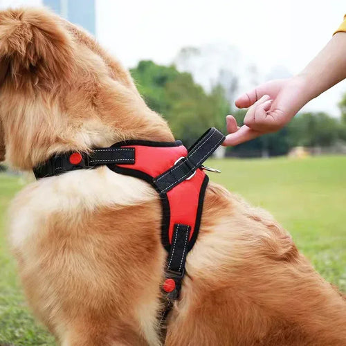 Arnés Tipo Sillín para Perro | Cómodo y Ajustable