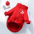 Chaqueta Baseball para Perro | Impermeable y Cómoda