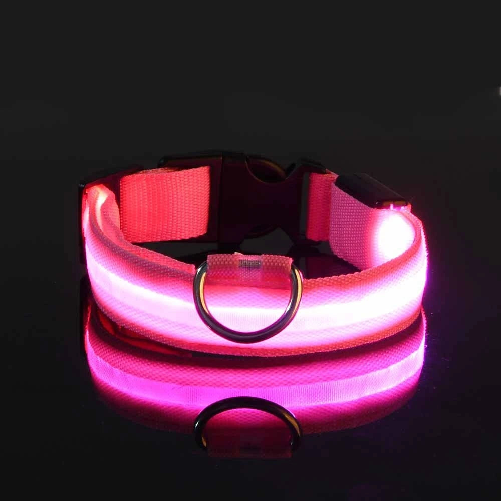 Collar LED Luminoso para Perros – Seguridad Nocturna