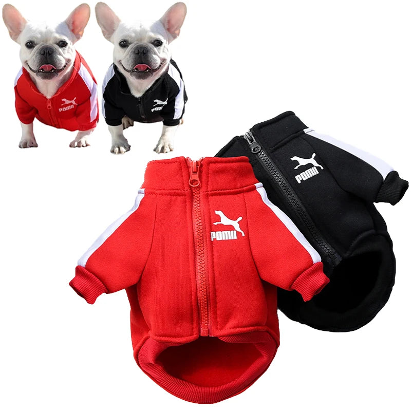 Chaqueta Baseball para Perro | Impermeable y Cómoda