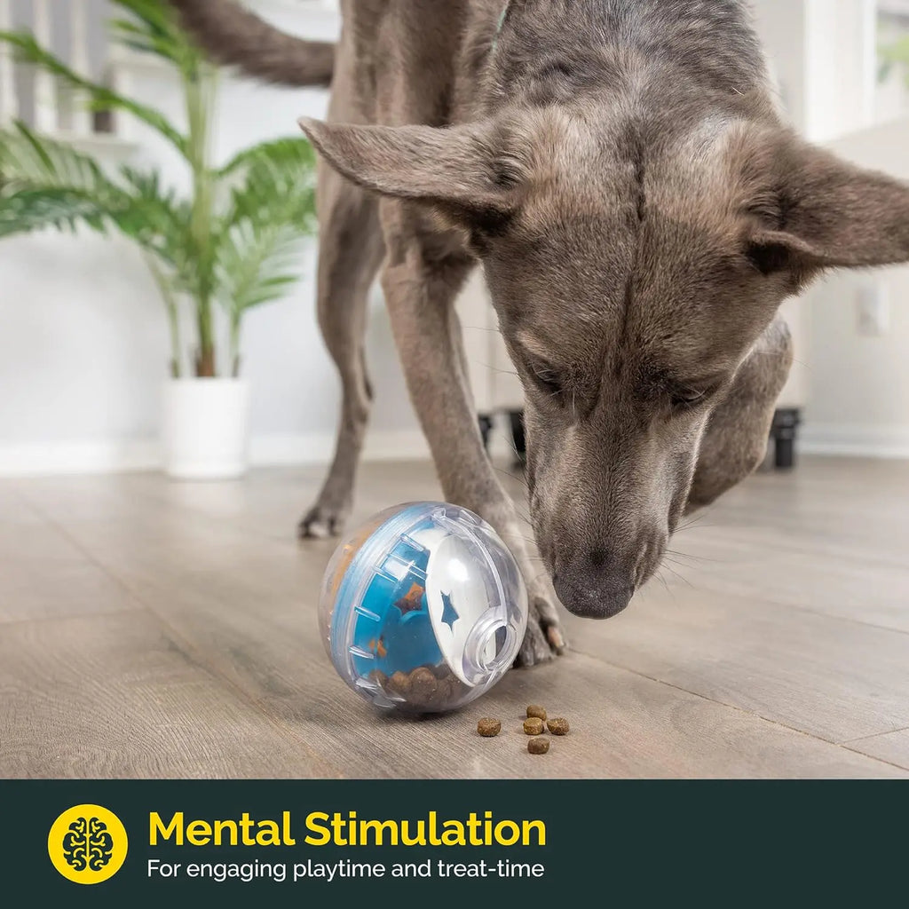 Pelota Interactiva Dispensadora de Premios para Perros