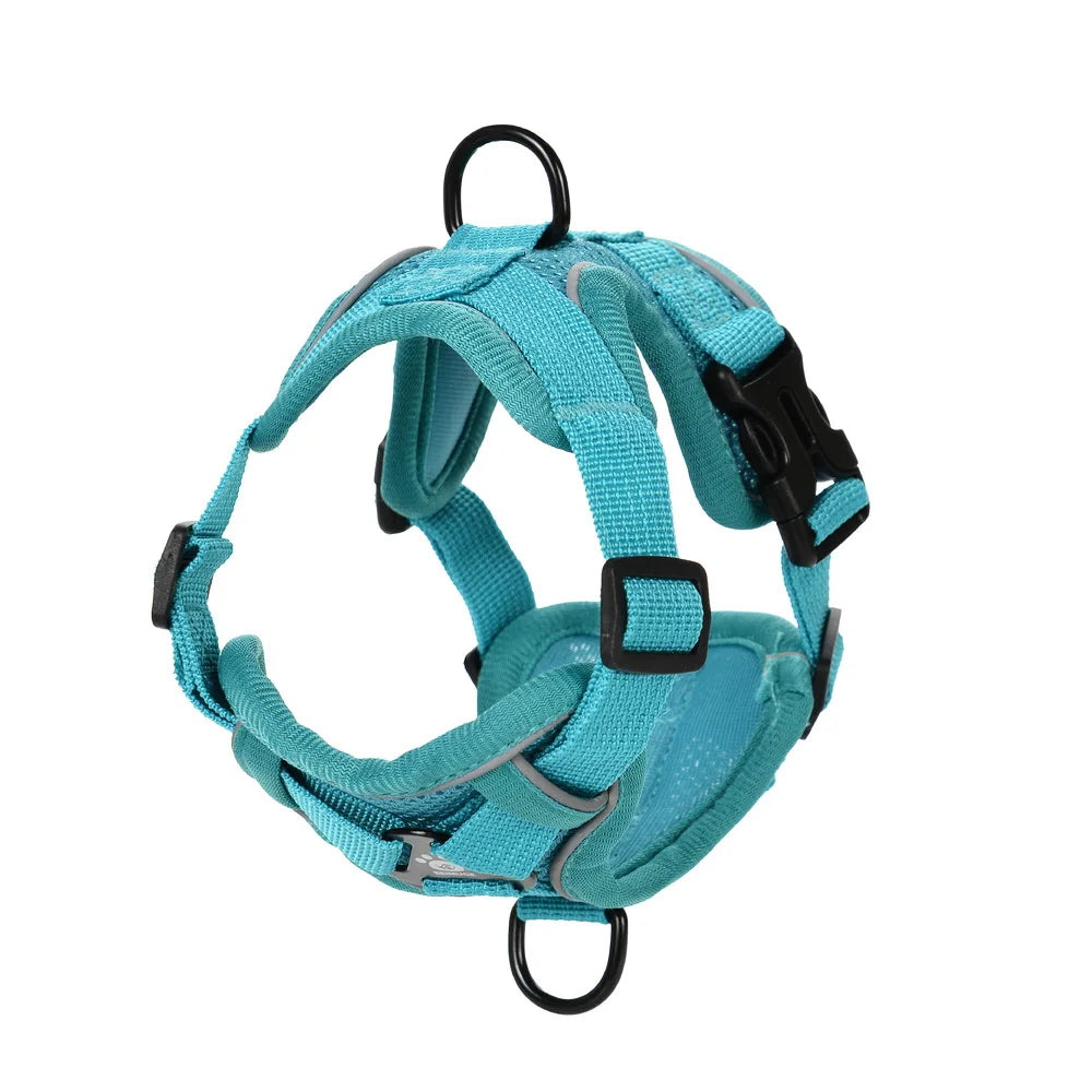 Set Arnés + Correa para Perro | Ajustable y Resistente