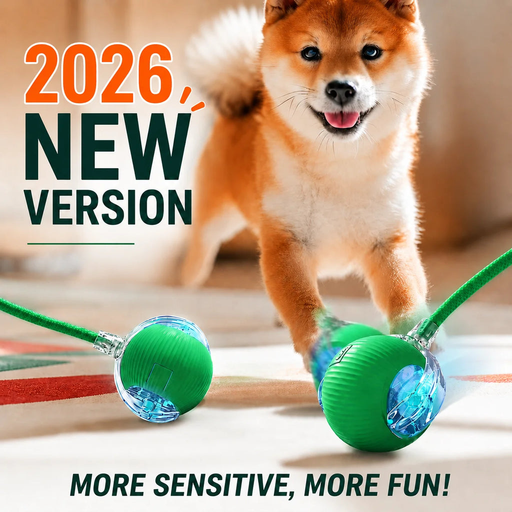 Pelota Interactiva Automática para Perros – Recargable