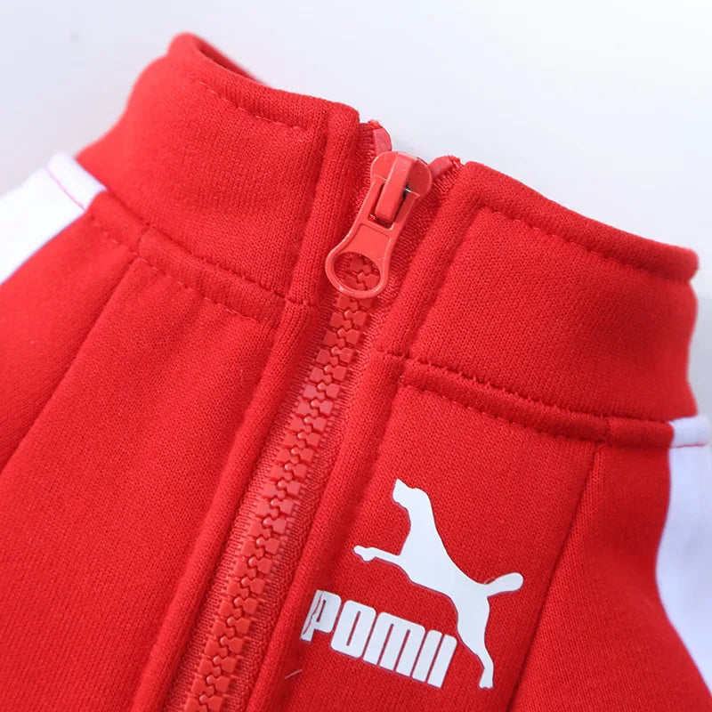Chaqueta Baseball para Perro | Impermeable y Cómoda