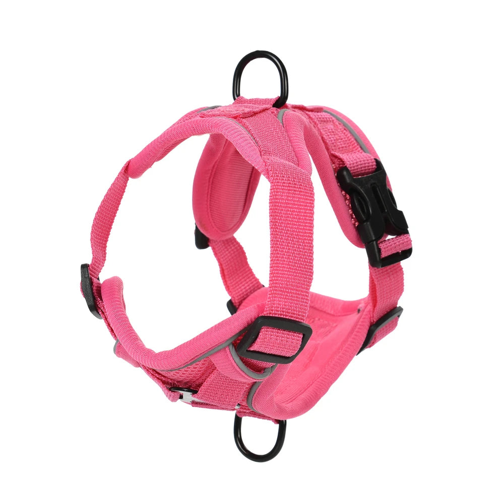 Set Arnés + Correa para Perro | Ajustable y Resistente
