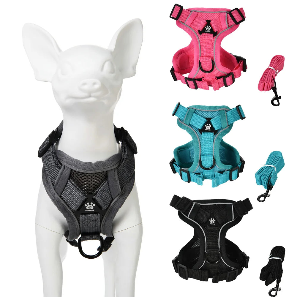 Set Arnés + Correa para Perro | Ajustable y Resistente