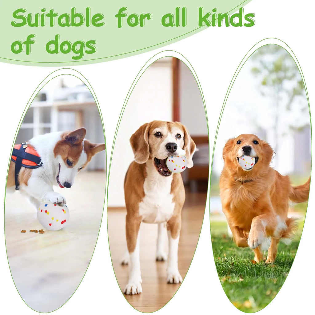 Lanzador Automático de Pelotas para Perros Recargable USB