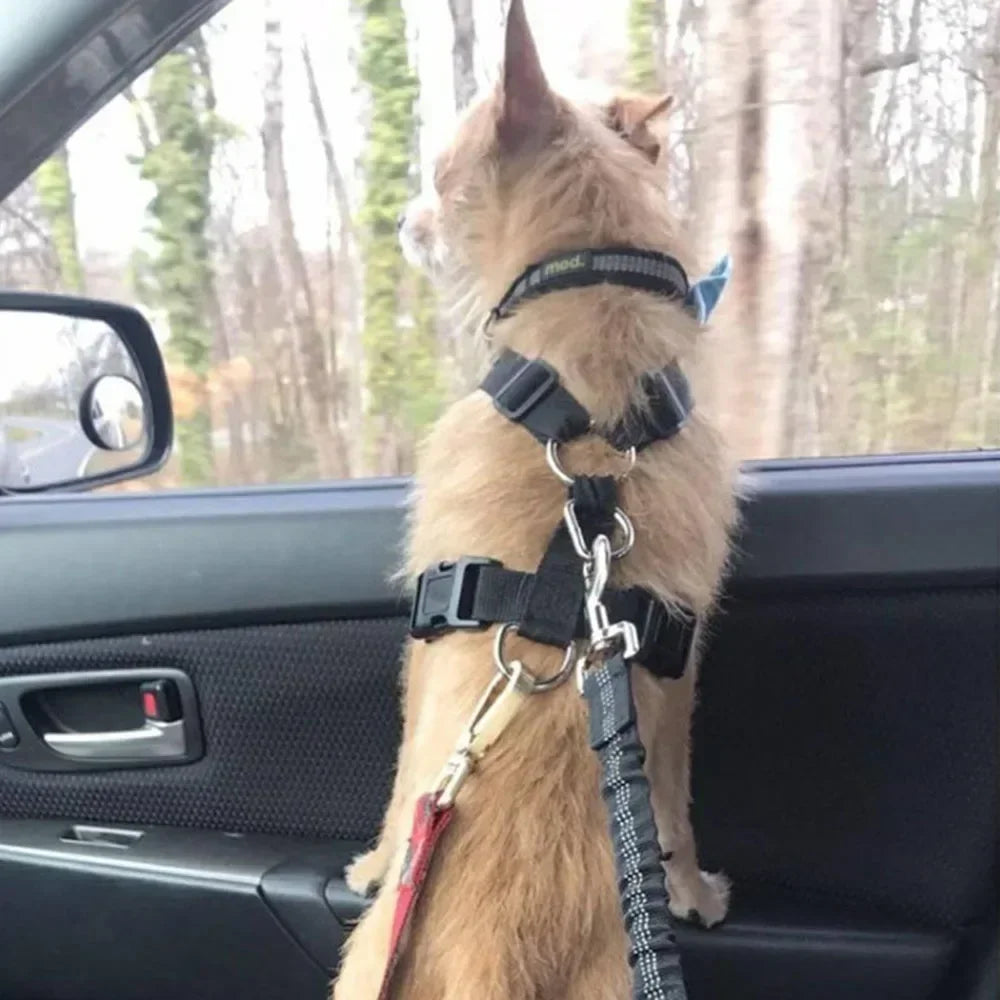 Cinturón de Seguridad Elástico para Perros – Ajustable y Reflectante