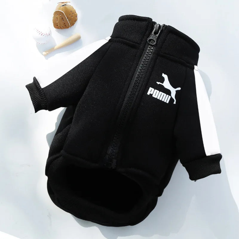 Chaqueta Baseball para Perro | Impermeable y Cómoda