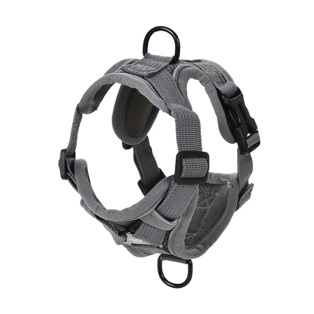Set Arnés + Correa para Perro | Ajustable y Resistente