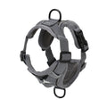 Set Arnés + Correa para Perro | Ajustable y Resistente